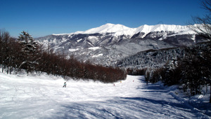 piste-abetone-ovovia-pulicchio